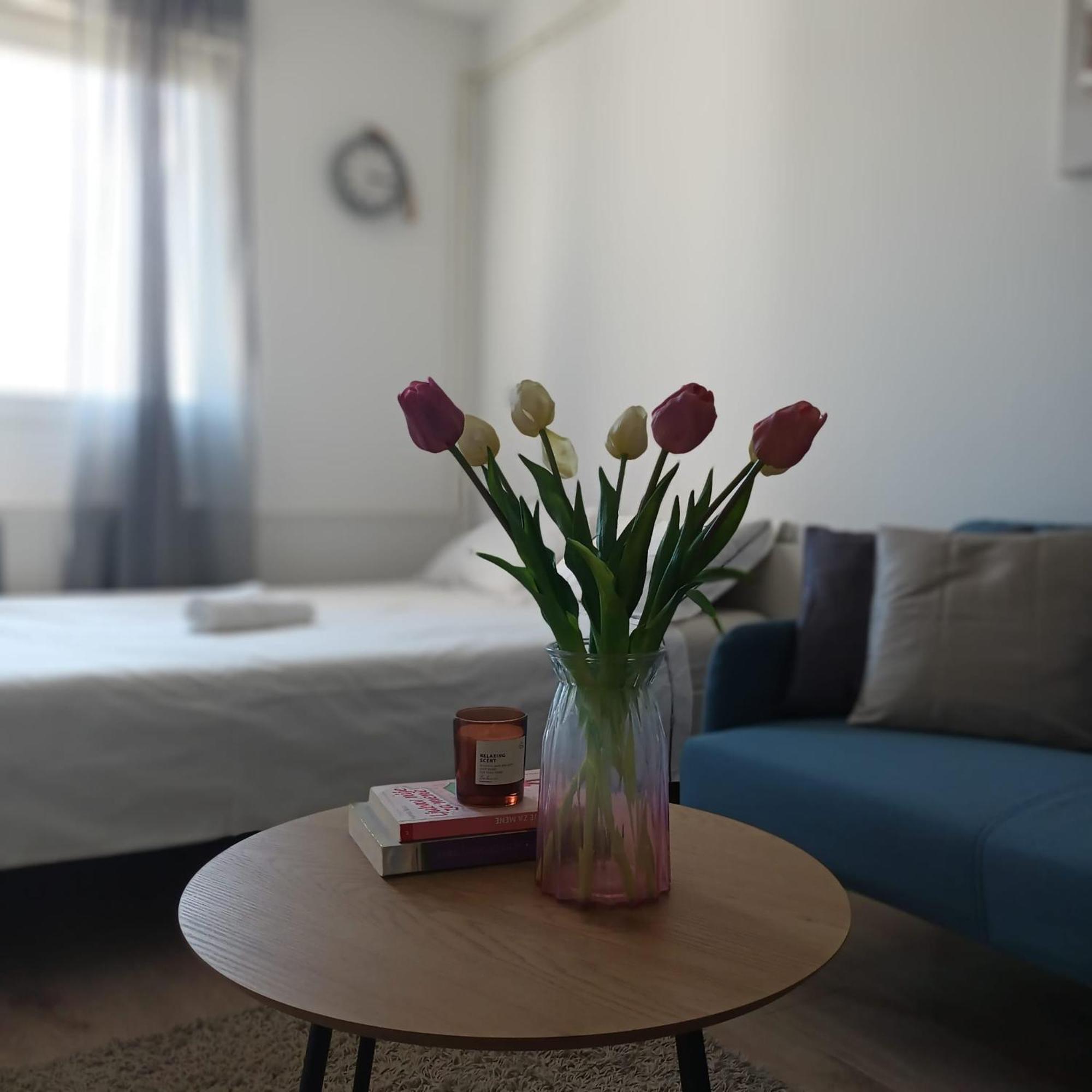 Modern Studio Near City Center زغرب المظهر الخارجي الصورة