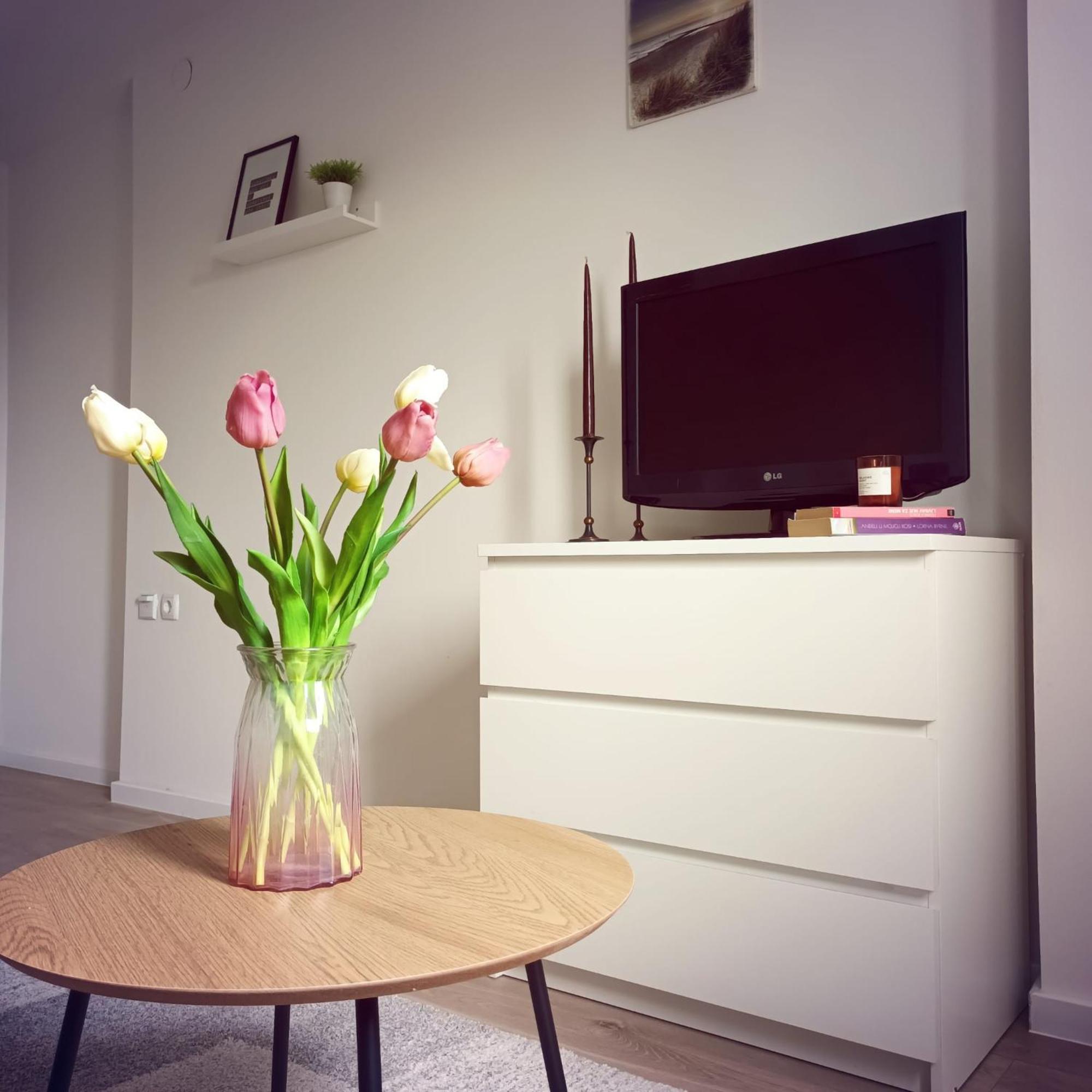 Modern Studio Near City Center زغرب المظهر الخارجي الصورة